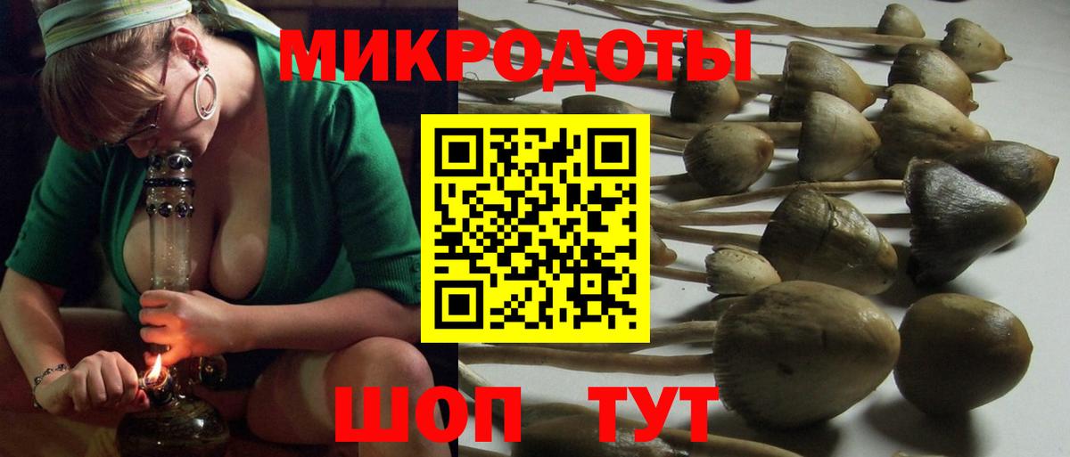 Галлюциногенные грибы MAGIC MUSHROOMS  Вход с VPN  Псилоцибиновые грибы Psilocybe  Ртищево 